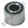 BERGKRAFT BK810010RB Bush, tensioner pulley lever